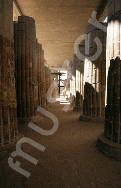 Djoser-Pyramide: Kollonaden- / Eingangshalle, Bild-Nr. Grßansicht: 200a/29