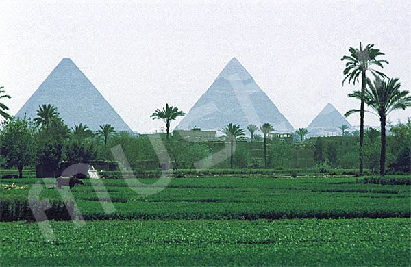 Giza-Plateau / Pyramidengebiet: Blickrichtung Osten, Bild-Nr. Grßansicht: 470a/16