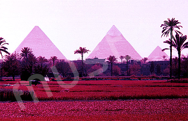Giza-Plateau / Pyramidengebiet: Blickrichtung Osten, Bild-Nr. Grßansicht: 470a/17