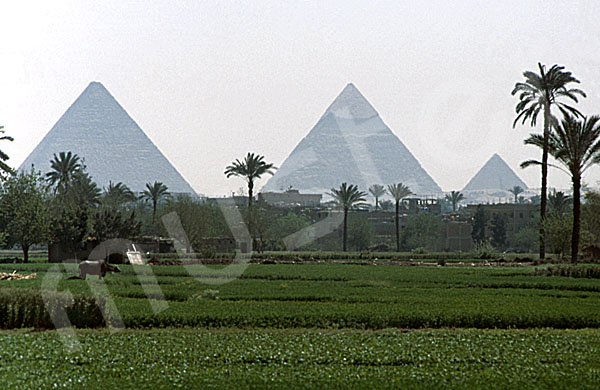 Giza-Plateau / Pyramidengebiet: Blickrichtung Osten, Bild-Nr. Grßansicht: 470a/37