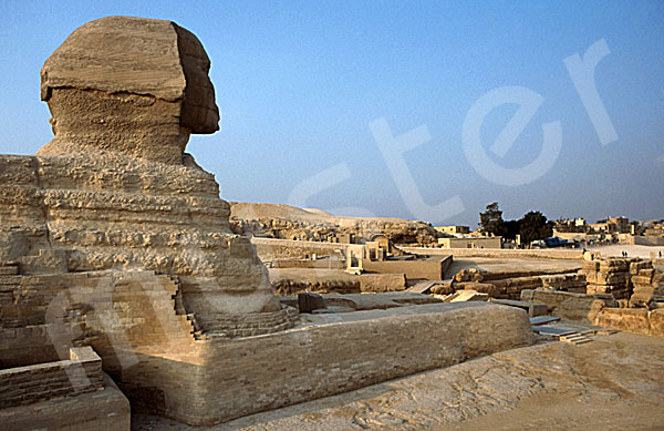 Große Sphinx von Gizeh: Statue, Bild-Nr. Grßansicht: 560a/14