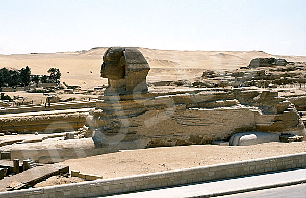 Große Sphinx von Gizeh: Statue, Bild-Nr. Grßansicht: 560a/16