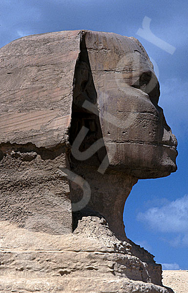 Große Sphinx von Gizeh: Statue, Bild-Nr. Grßansicht: 560b/27