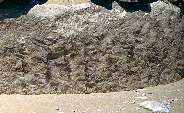 Pepi-I.-Pyramide: Umfassungs- / Temenosmauer, Bild-Nr. Großansicht: 230a/9