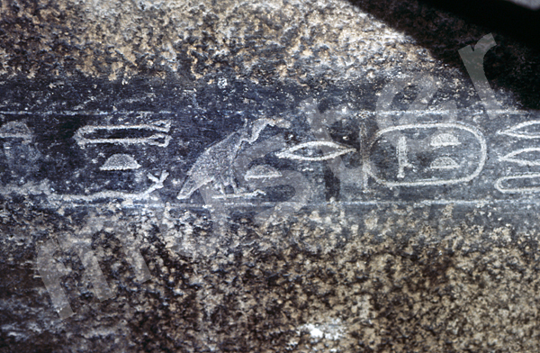 Teti-Pyramide: Sarkophag, Bild-Nr. Grßansicht: 185a/27