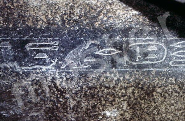 Teti-Pyramide: Sarkophag, Bild-Nr. Großansicht: 185a/27