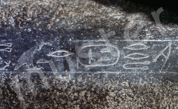 Teti-Pyramide: Sarkophag, Bild-Nr. Grßansicht: 185a/28